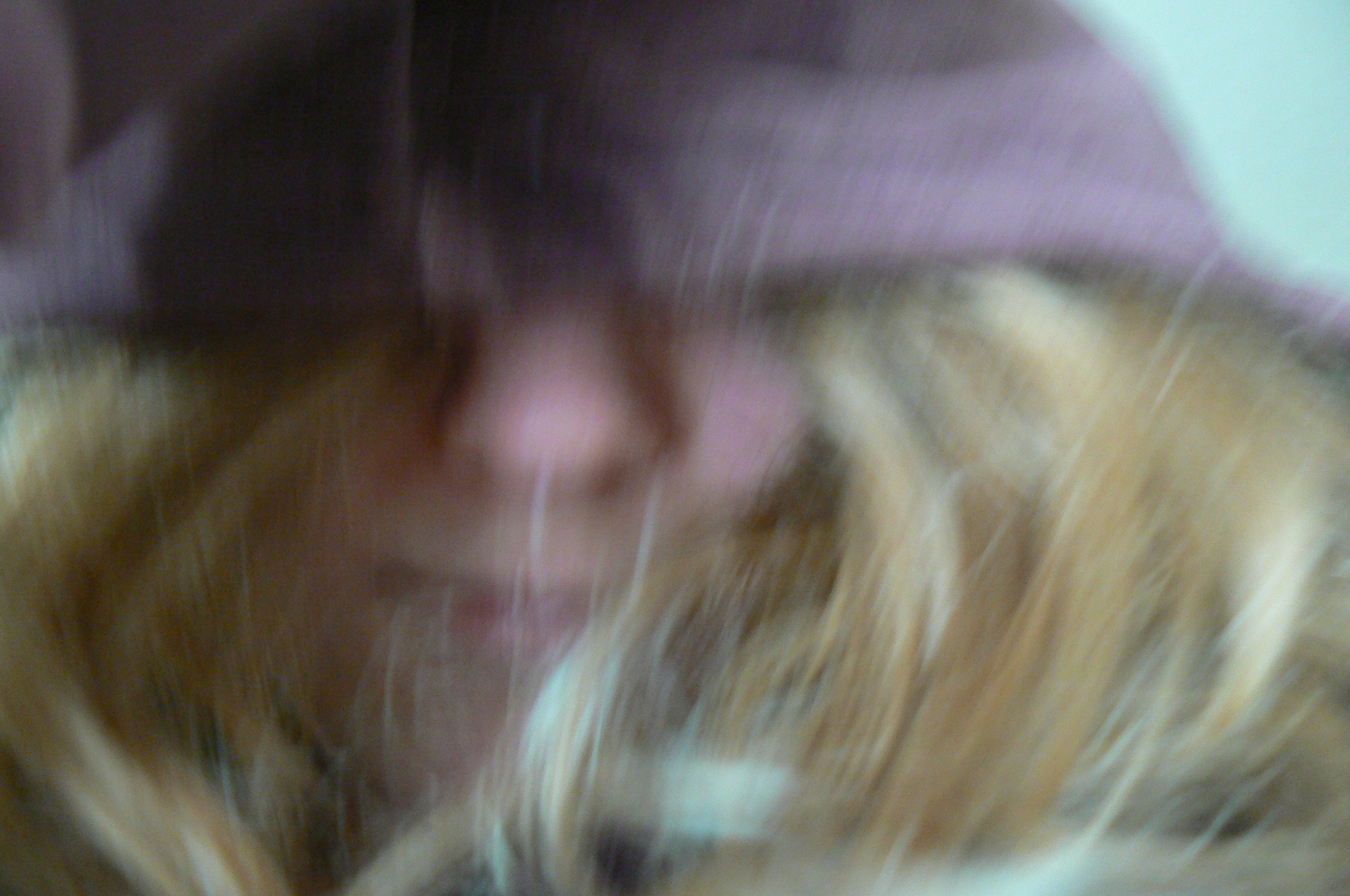 P1180536.JPG